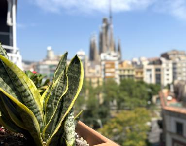 Appartement à louer à Barcelona Sicilia - Aragó