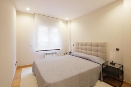 Apartment for Rent in Madrid Ponzano - Maudes