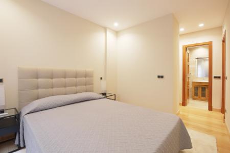 Apartment for Rent in Madrid Ponzano - Maudes
