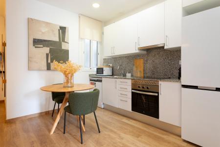 Appartement à louer à Barcelona Avenida Gaudi - Sagrada Familia (brand New Flat)