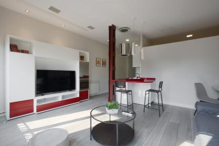 Apartment for Rent in Madrid Paseo De La Florida - Gta. San Vicente