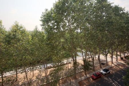 Apartment for Rent in Madrid Paseo De La Florida - Gta. San Vicente