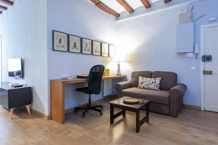 Appartement à louer à Barcelona Moles - Pl. Catalunya (min. 6 Months)