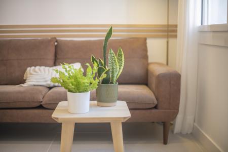 Appartement à louer à Barcelona Marques De Campo Sagrado - Av Paral·lel