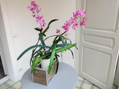 Pis en Lloguer a Barcelona València - Casanova