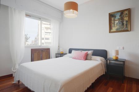 Piso en Alquiler en Madrid Francisco Silvela-juan Bravo