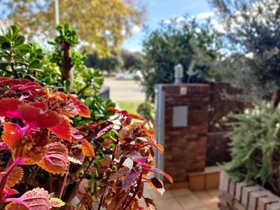 Unifamiliar adosada en Lloguer a Badalona Travessera Montigalà - Joan Amigó I Barriga