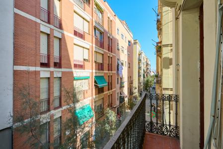 Pis en Lloguer a Barcelona Guitert - Andrea Doria