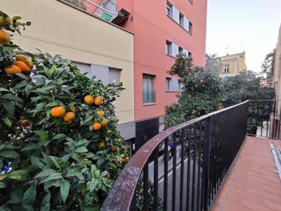 Apartamento para Alugar em Barcelona Gran De Sant Andreu - Sòcrates