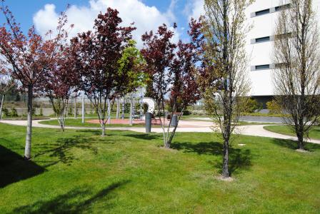 Appartamento in Affitto a Madrid Dulce Chacón - Fuente De La Mora