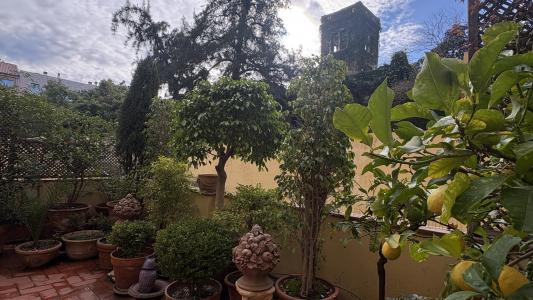 Apartamento para Alugar em Barcelona Balmes - Madrazo