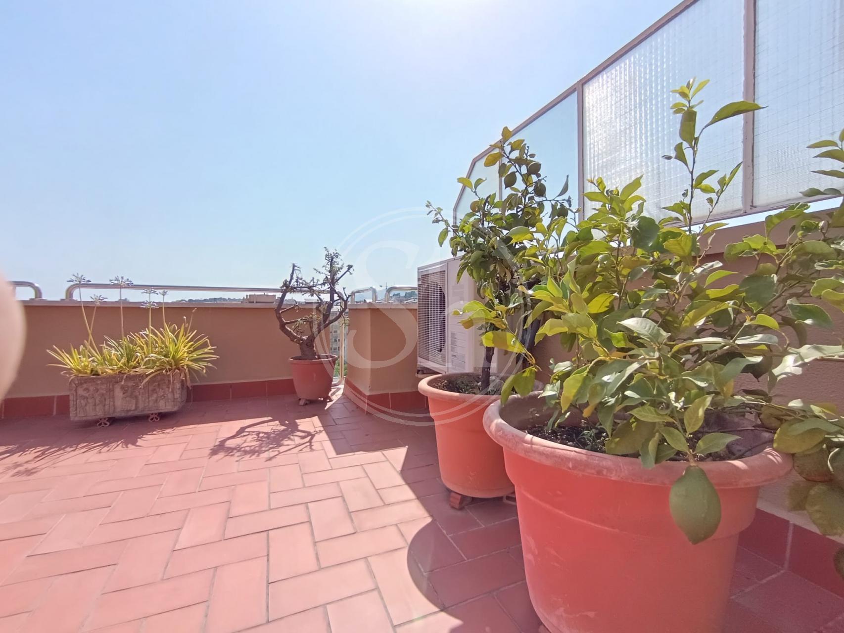 property_image_13