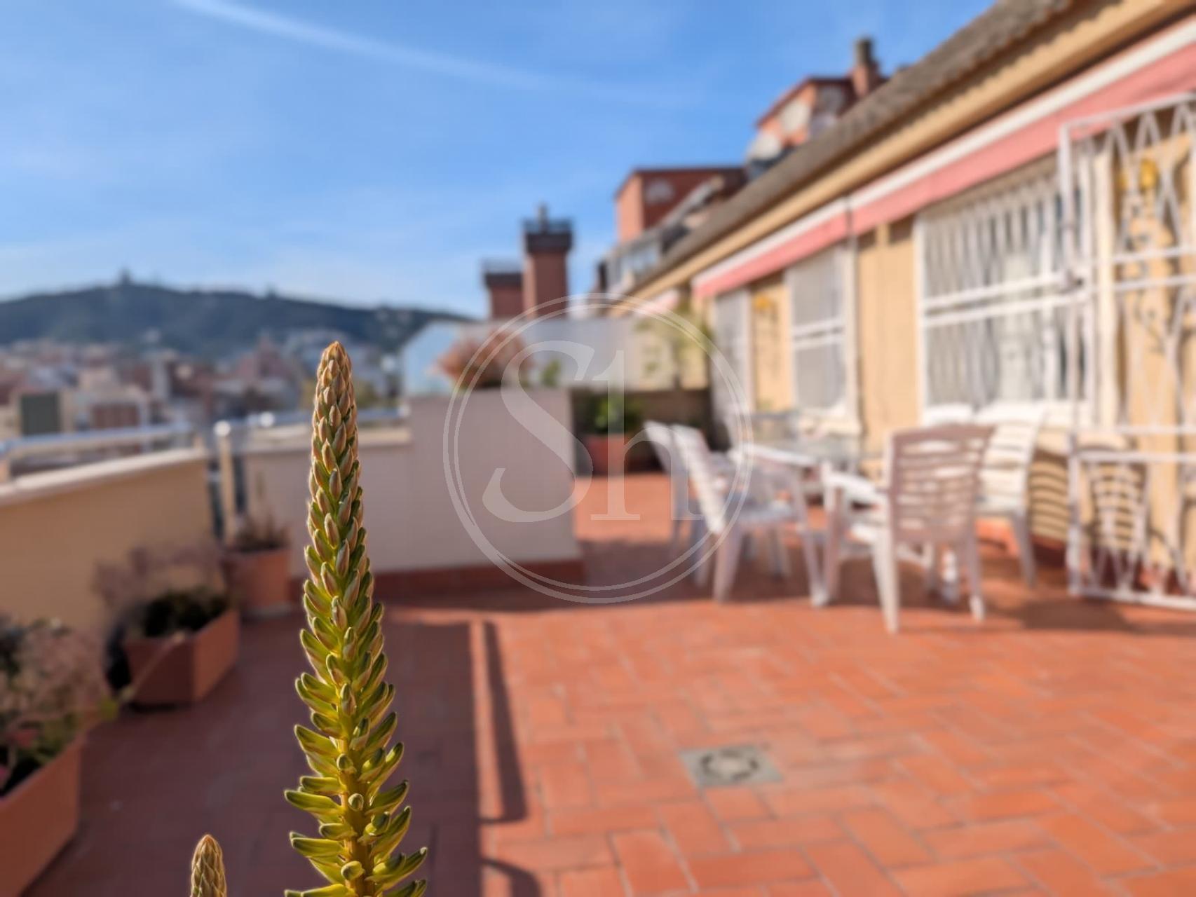 property_image_7