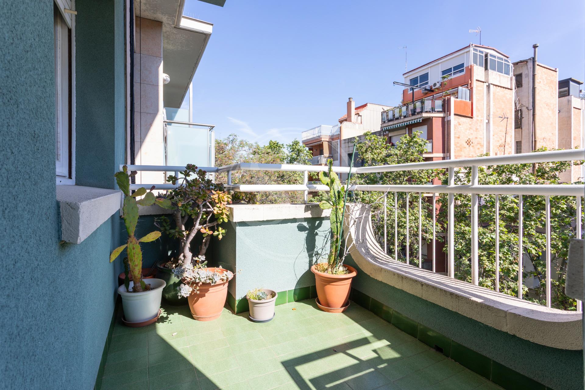 property_image_10