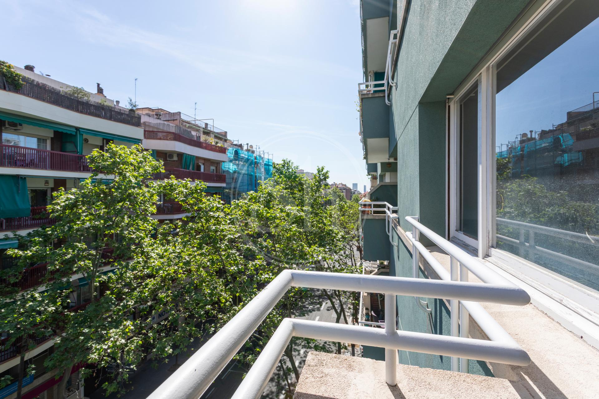 property_image_11