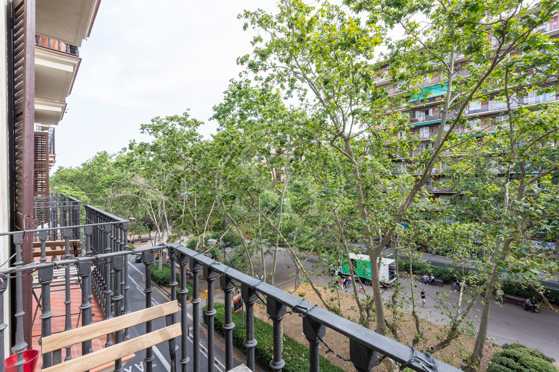 property_image_10