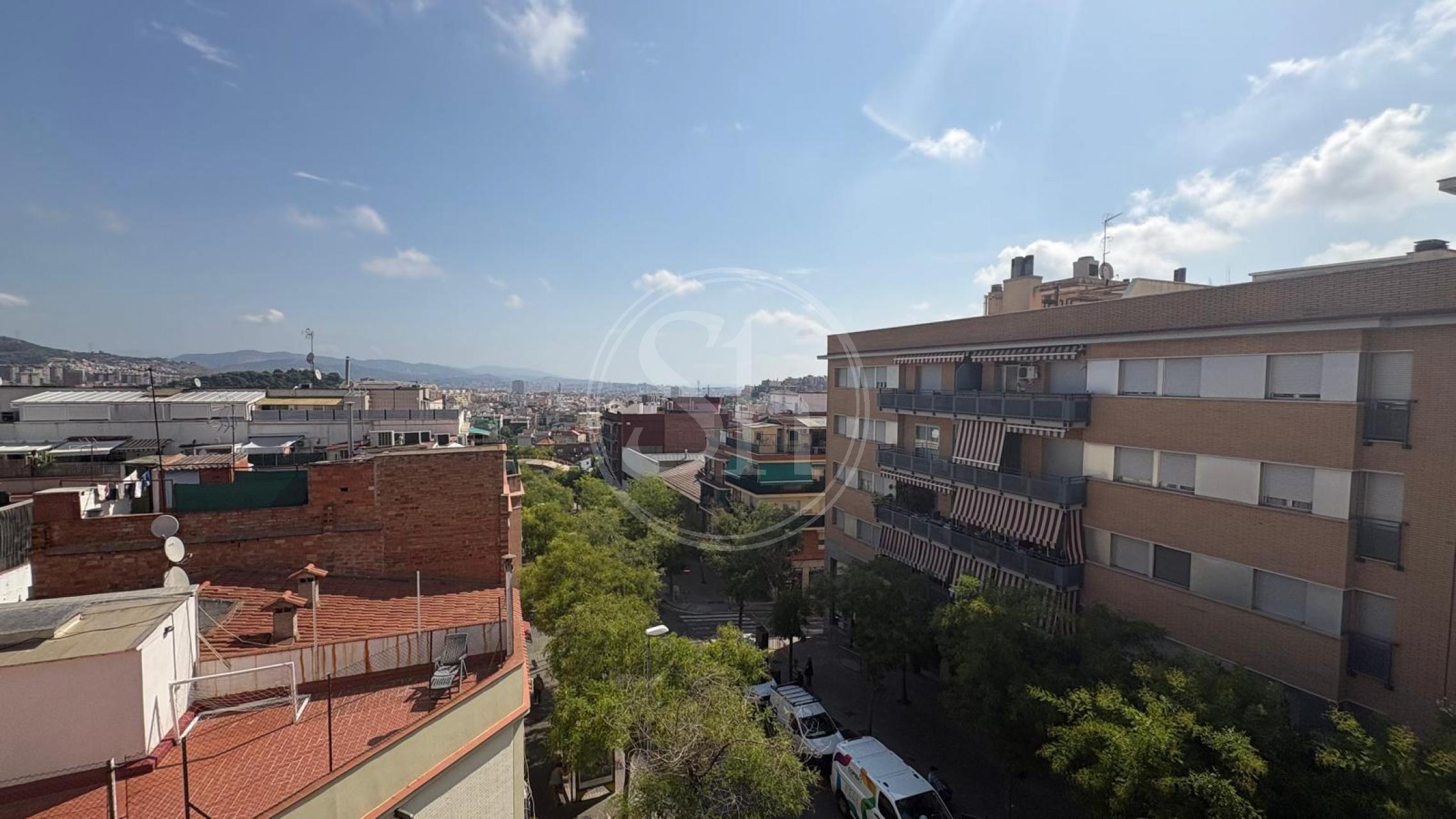 property_image_12