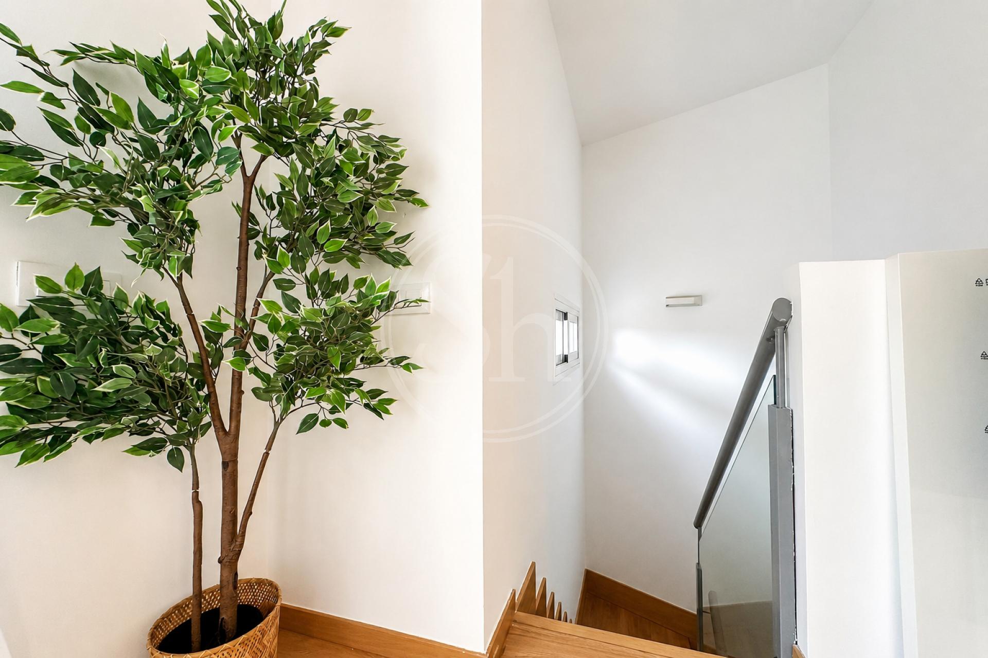 property_image_11
