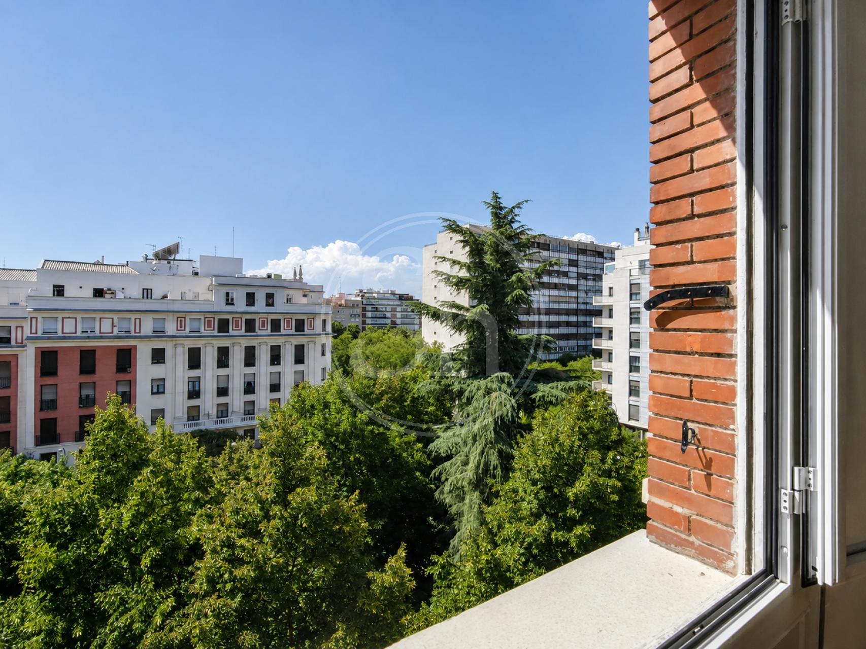 property_image_5