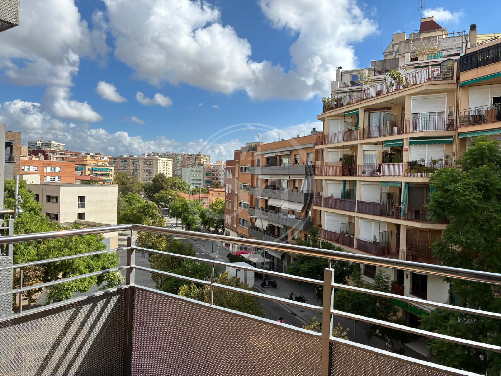 property_image_11