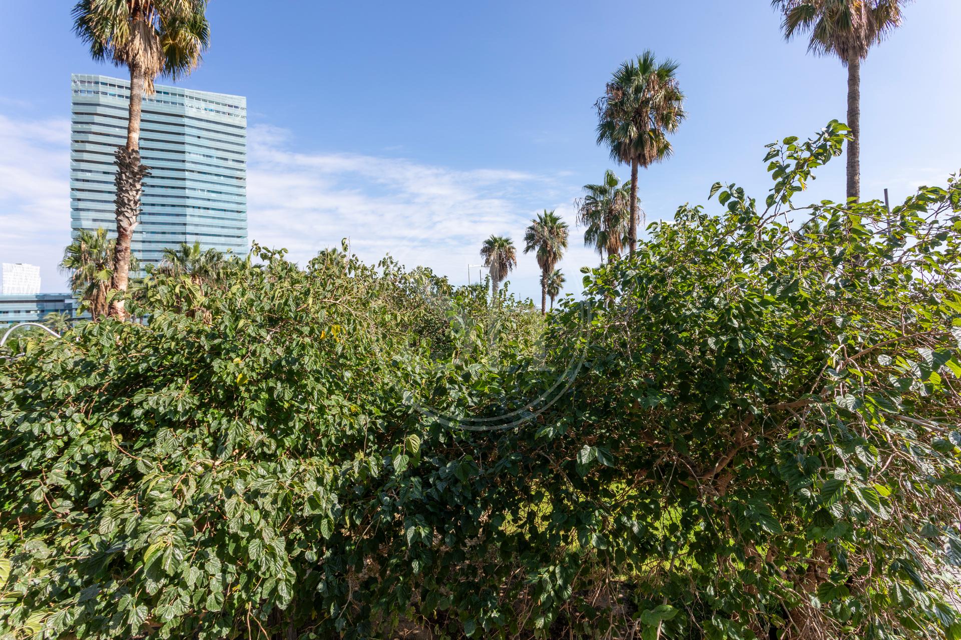 property_image_30