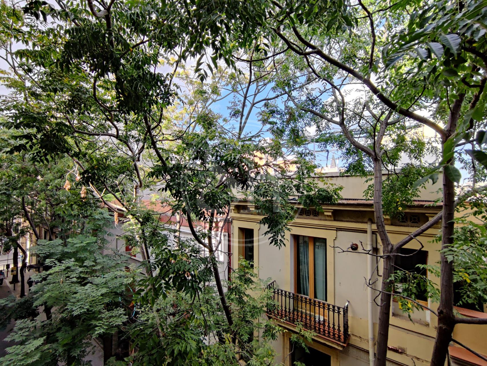 property_image_8