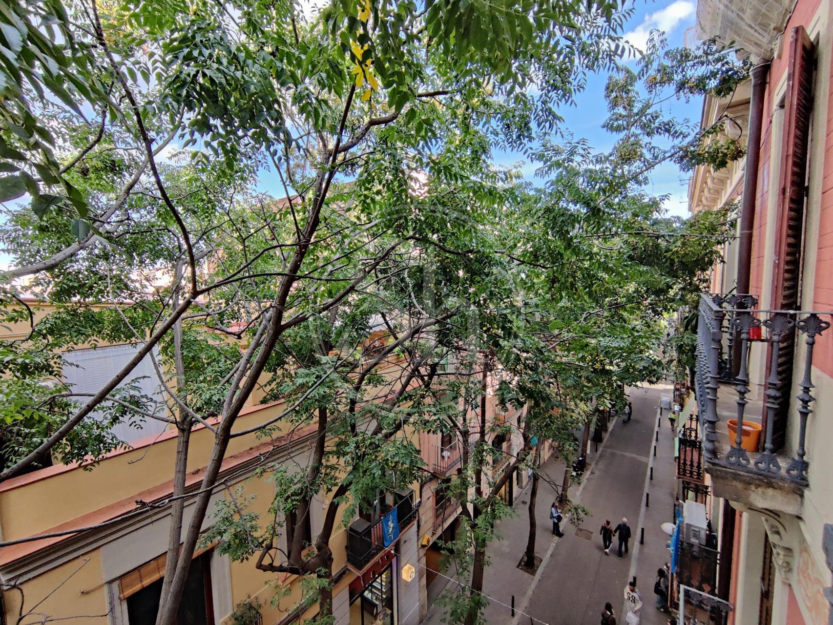 property_image_7