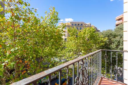 Aquiler apartamento de 4 habitaciones en calle Casanova - Londres