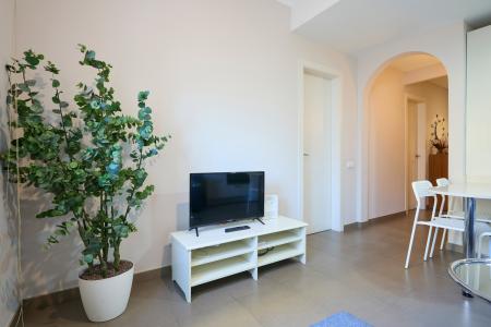 Apartamento para Alugar em Barcelona Numància - Berlín (min 6 Months)