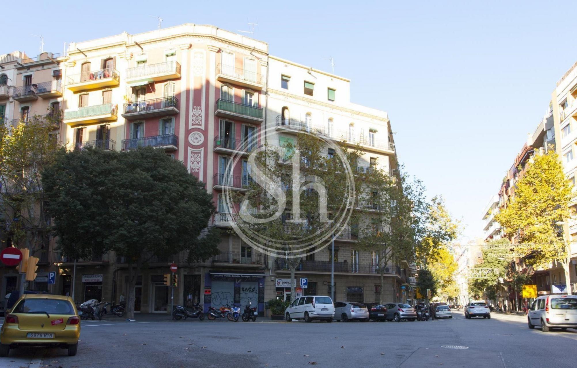 property_image_19