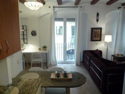 Loft te huur in Barcelona Sant Pacià - Rambla Del Raval