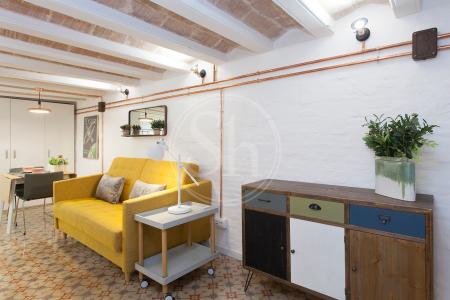 Monolocale con una stanza da letto in affitto in via Vidreria