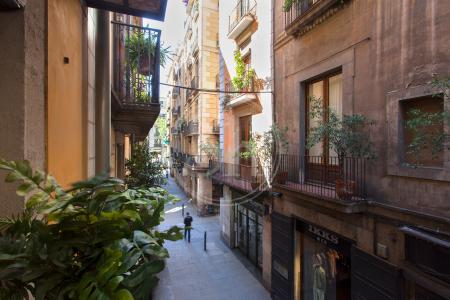 Monolocale con una stanza da letto in affitto in via Vidreria