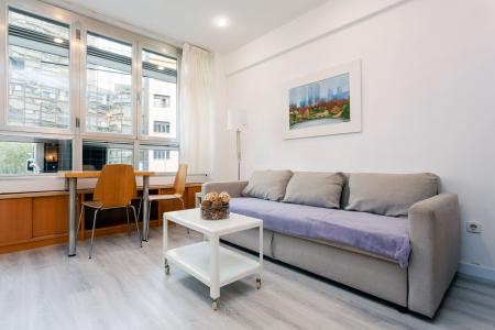 Alquiler temporal loft amueblado en c/ Aragón con Casanova