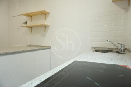 Pis en Lloguer a Barcelona Radas - Passeig De L'exposició