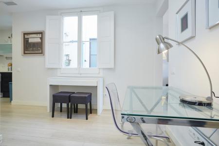 Appartement te huur in Barcelona Avinguda Paral·lel - Plaça Espanya (min 7 Months)