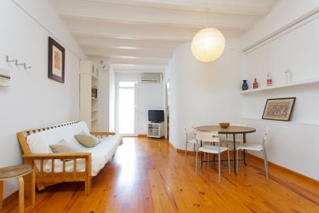 Pis en Lloguer a Barcelona Verdi - Providencia