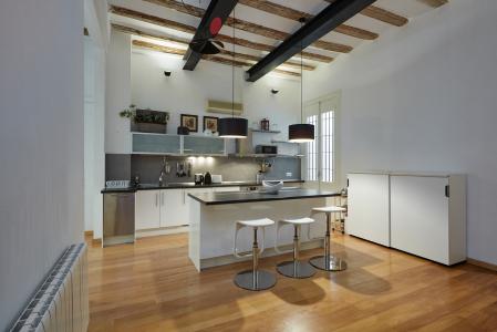 Apartamento para Alugar em Barcelona Banys Nous - Rambla