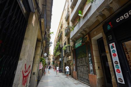Apartamento para Alugar em Barcelona Banys Nous - Rambla
