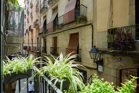 Apartamento para Alugar em Barcelona Banys Nous - Rambla