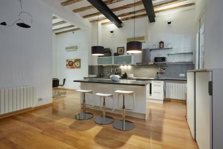 Apartamento para Alugar em Barcelona Banys Nous - Rambla