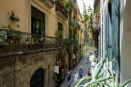 Apartamento para Alugar em Barcelona Banys Nous - Rambla