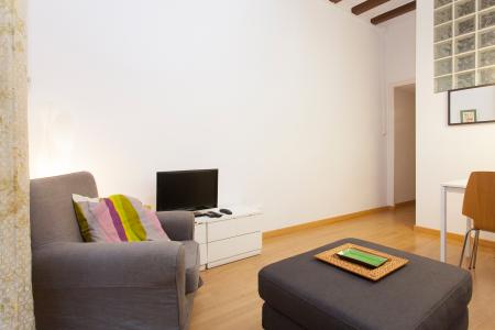 Appartement te huur in Barcelona Portal Nou - Pça. Sant Agusti Vell