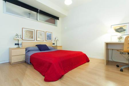 Ampio e luminoso appartamento in affitto a Barcellona