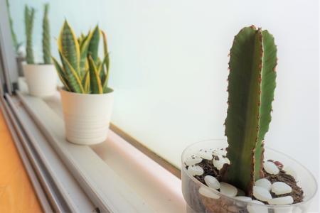 Apartment for Rent in Barcelona Consell De Cent - Vilamarí