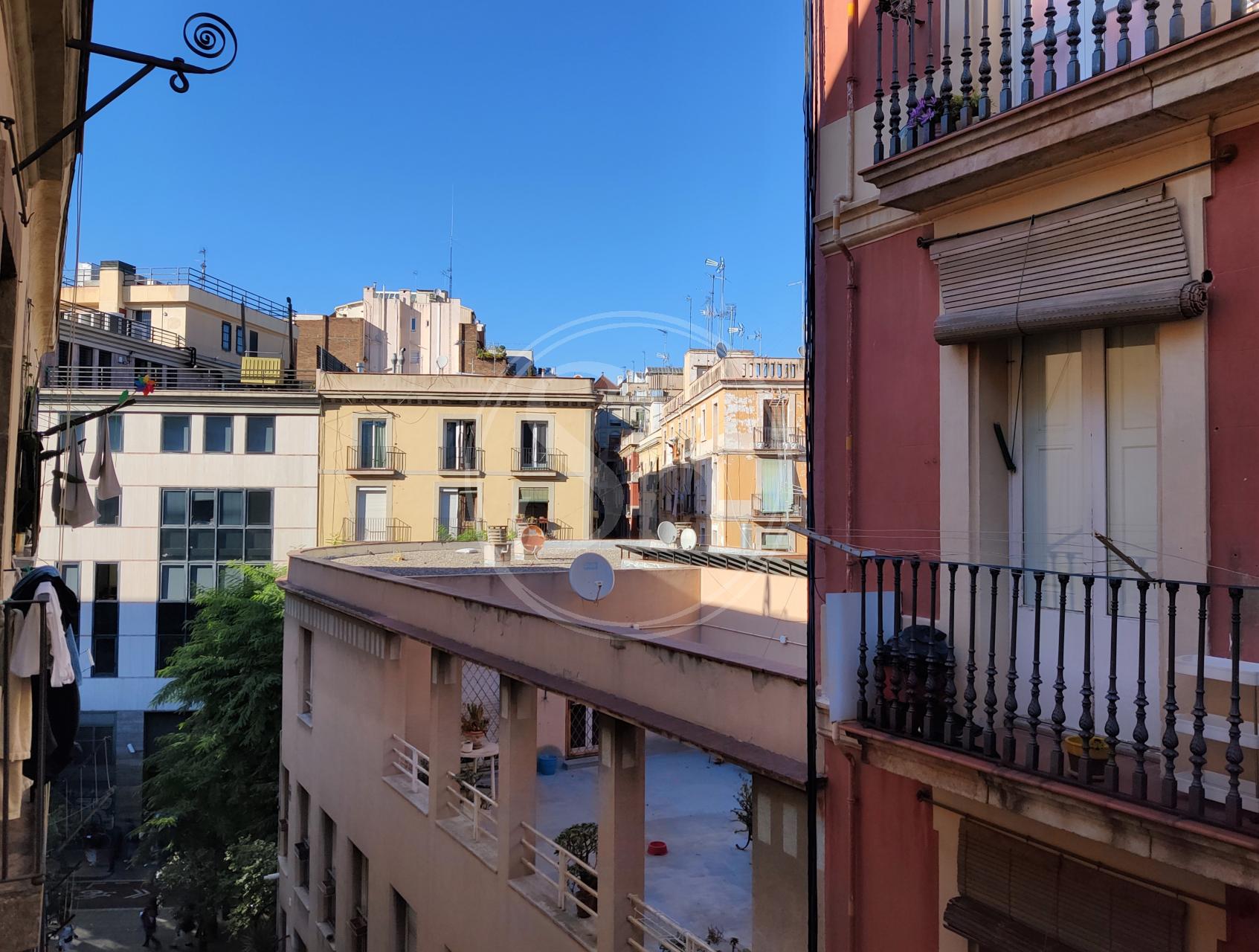 Apartment for Rent Barcelona Ciutat Vella Cendra Plaça Del Dubte