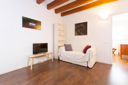 Appartement te huur in Barcelona Tallers - Universitat