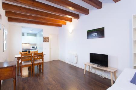Appartement te huur in Barcelona Tallers - Universitat