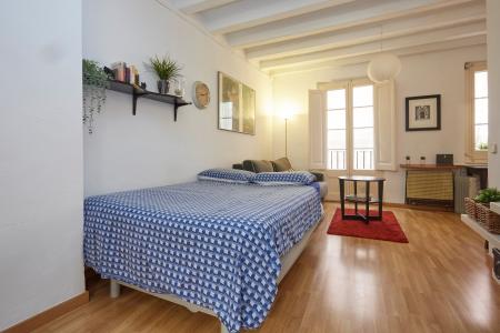 Studio zur Miete in Barcelona Sant Bonaventura - Santa Anna