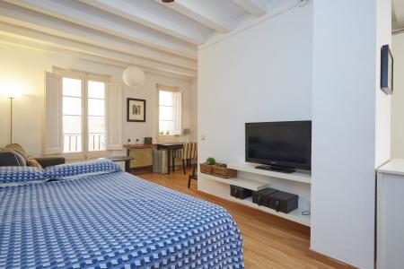Studio zur Miete in Barcelona Sant Bonaventura - Santa Anna